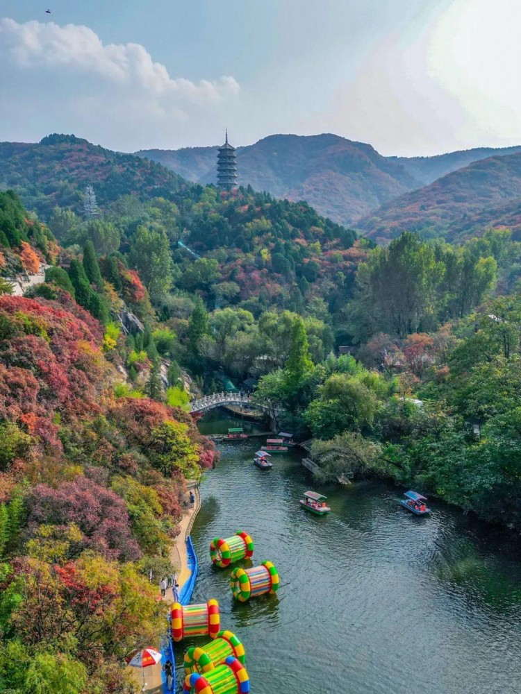 赏秋叶登秋山贴秋膘…秋天在济南最治愈的10件事你都打卡了吗